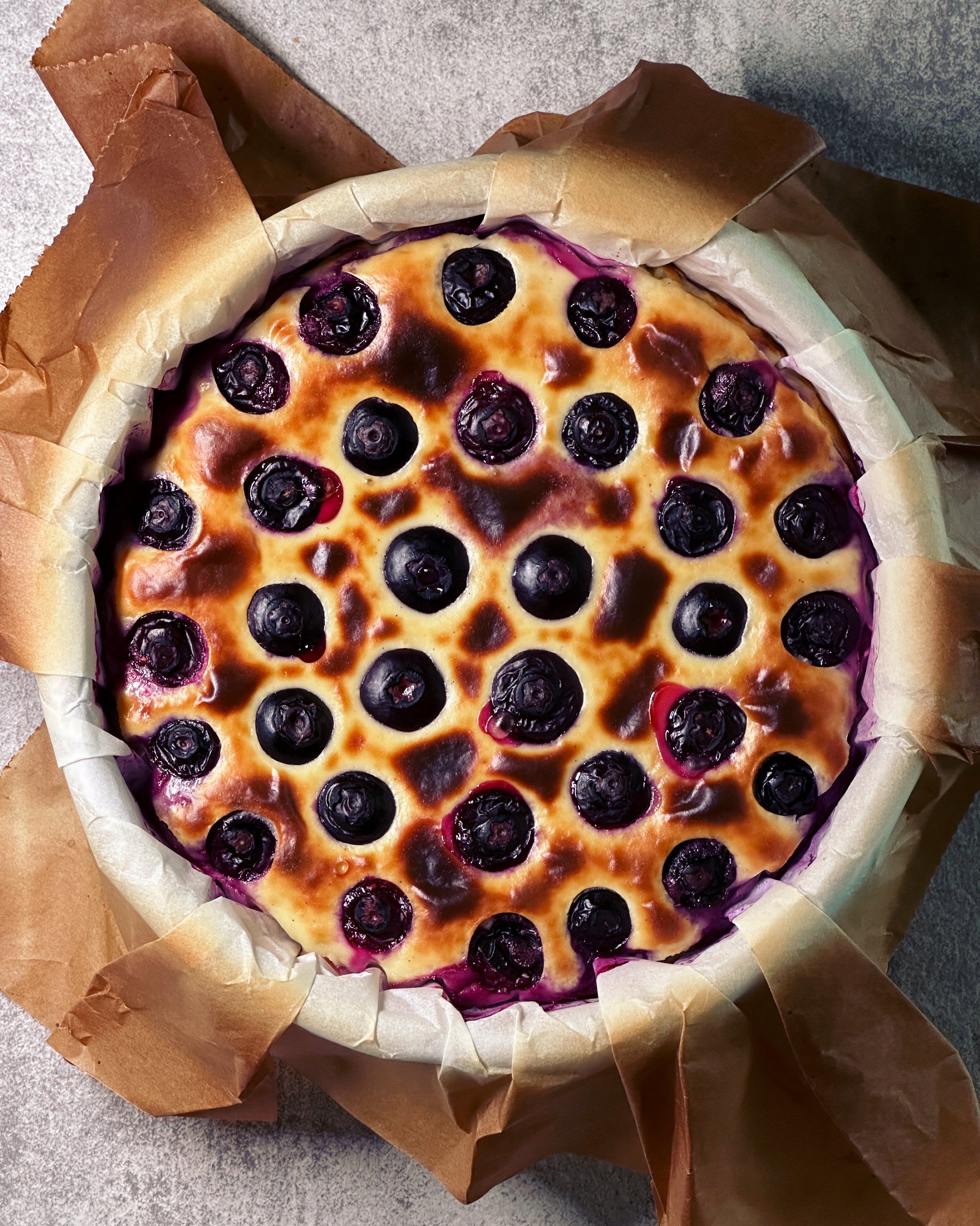 Burnt Yogurt Cheesecake Blueberries Artisanal Yogurt