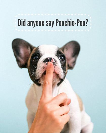 Poochie-Poo
