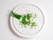 Yogurt Cream Cheese - Garlic & Chives