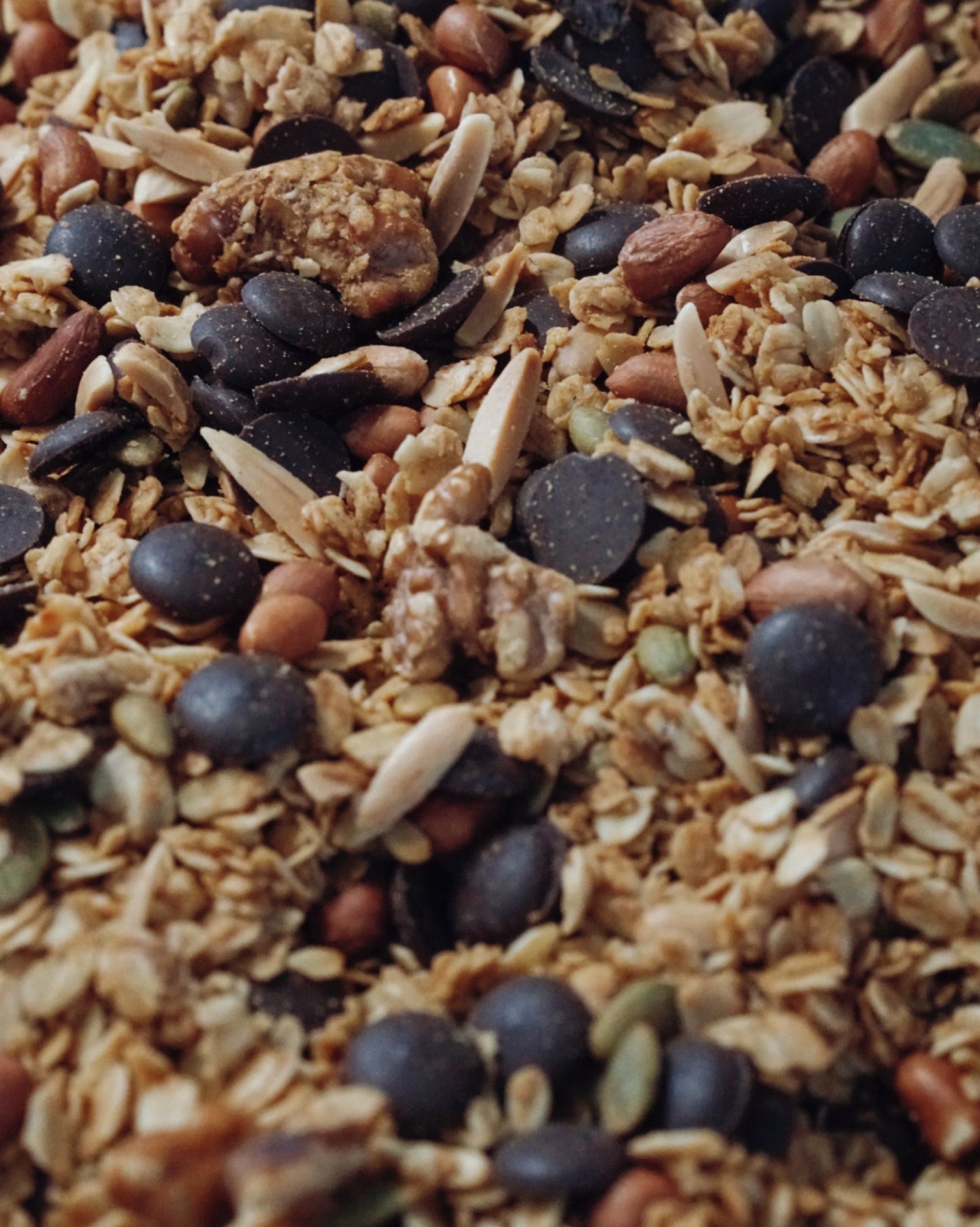 Granola - Dark Chocolate Walnut